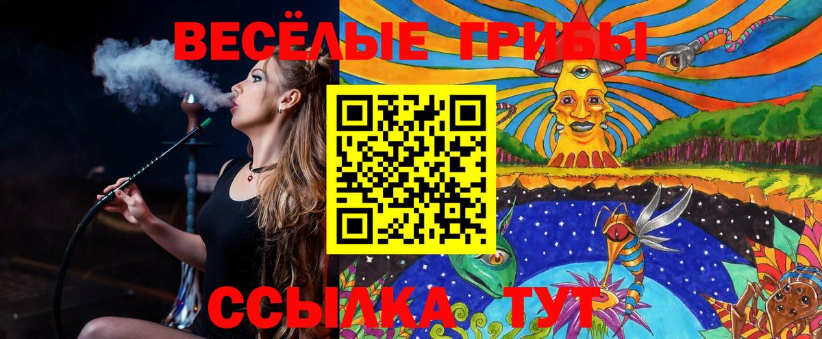 Псилоцибиновые грибы мицелий Кисловодск