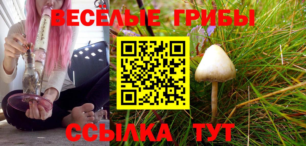 Кисловодск  Галлюциногенные грибы ЛСД  Вход с VPN 
